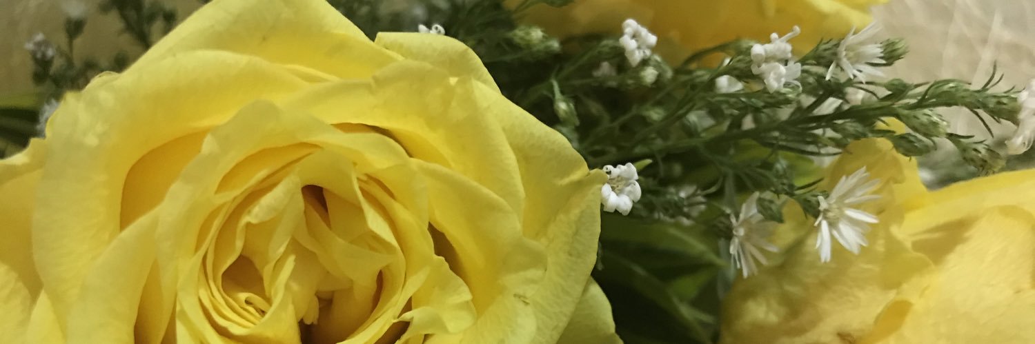 maancustodio's profile banner image