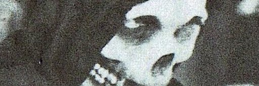 Pedrupacheco's profile banner image