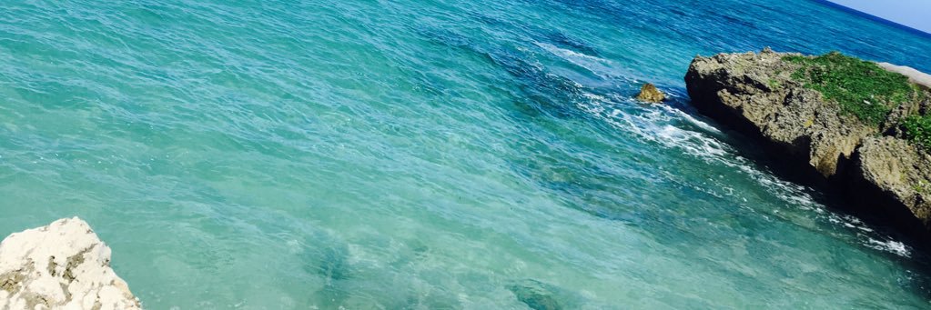 noooa0709's profile banner image