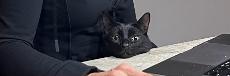 Nicole Boyson banner