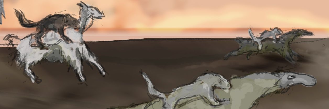 gabrielcdangelo's profile banner image
