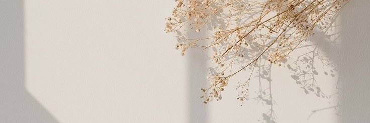 mocopetan's profile banner image