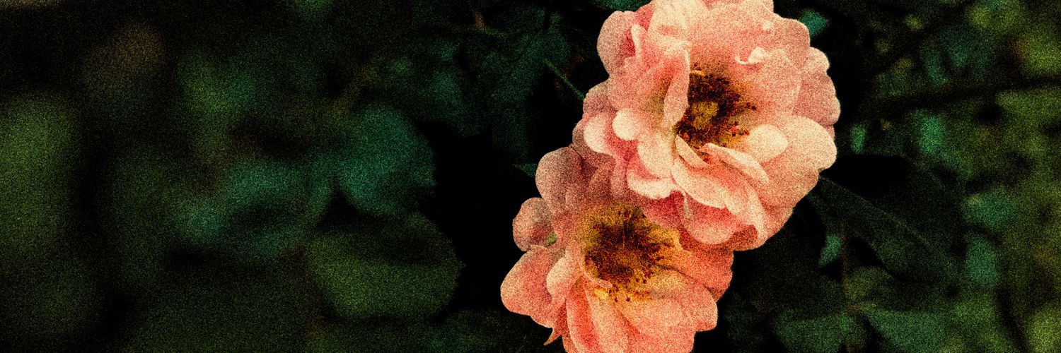 In Wish banner