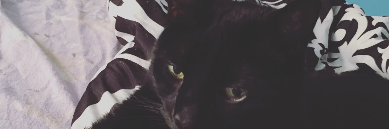 MadisonBookout's profile banner image