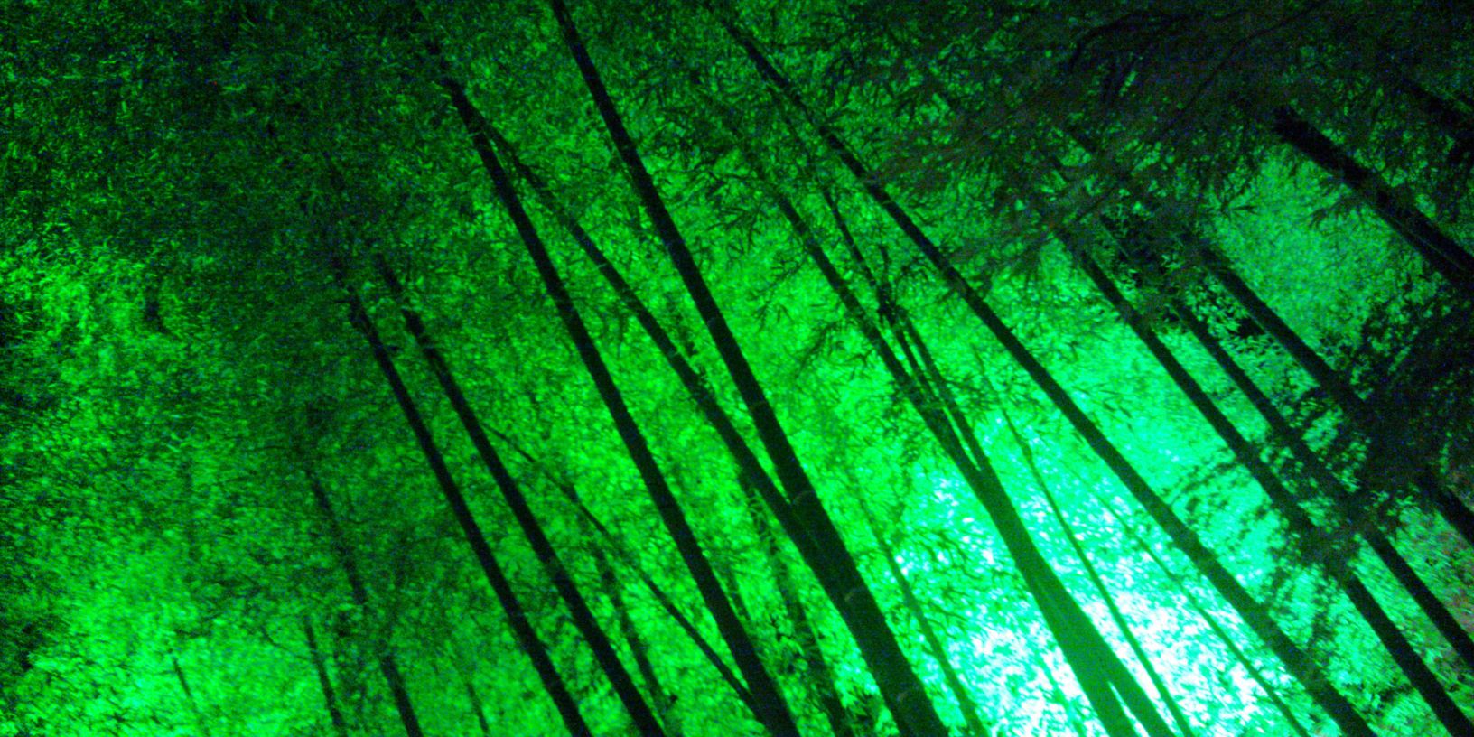 60_305's profile banner image