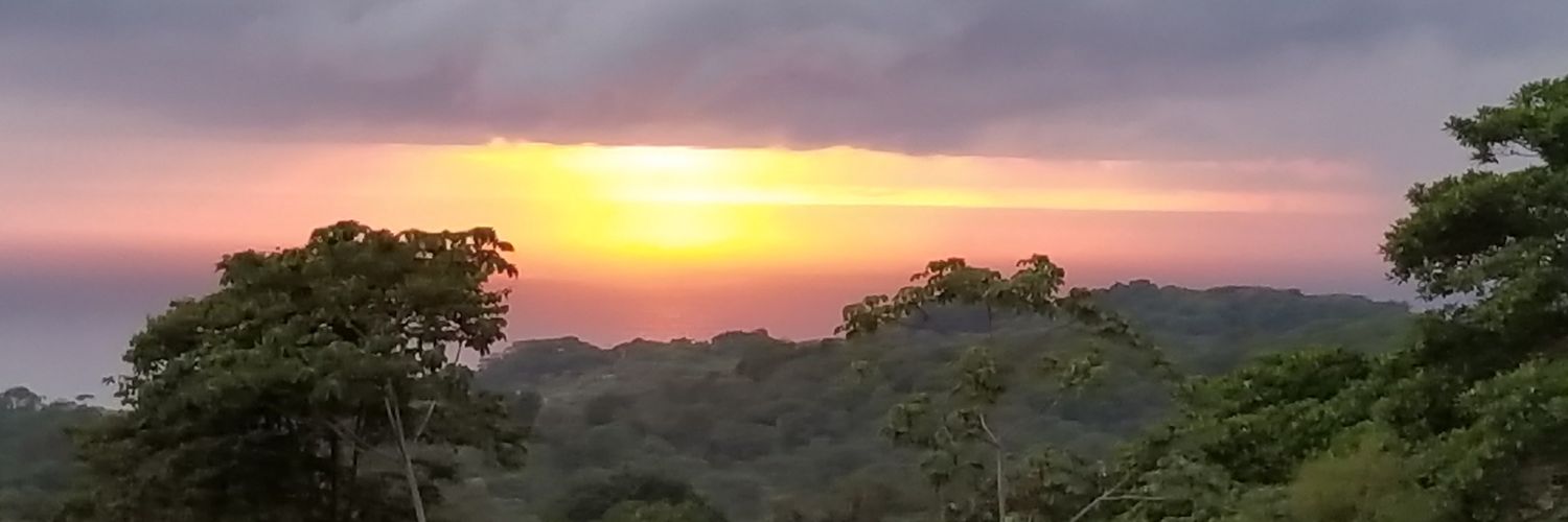 beachubb's profile banner image