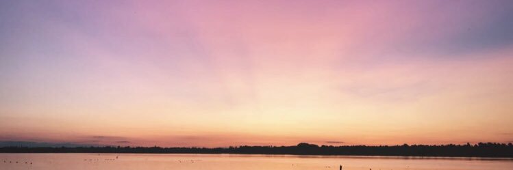 Calliewags1331's profile banner image