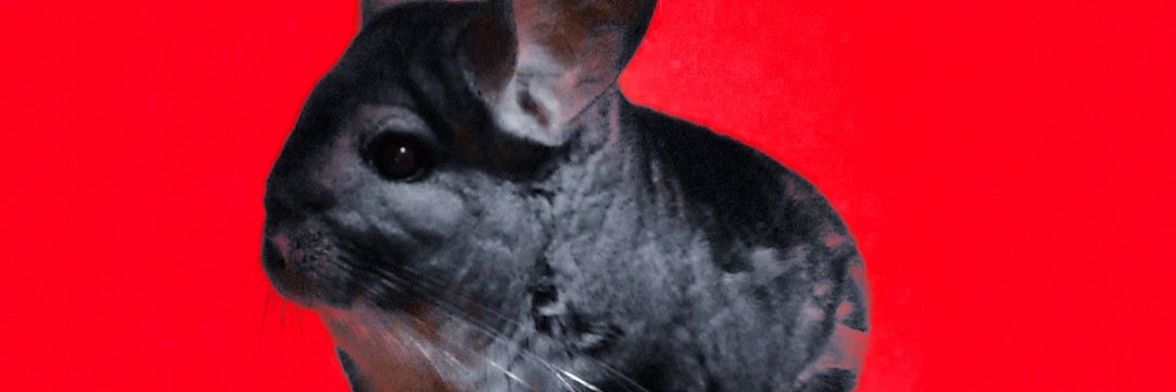 r3dm3ss's profile banner image