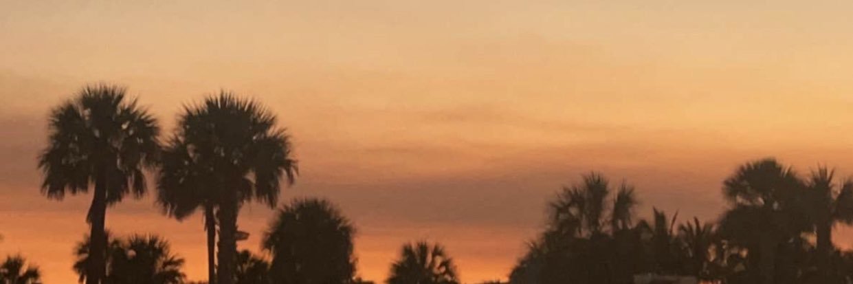 Melanie_Bridge9's profile banner image