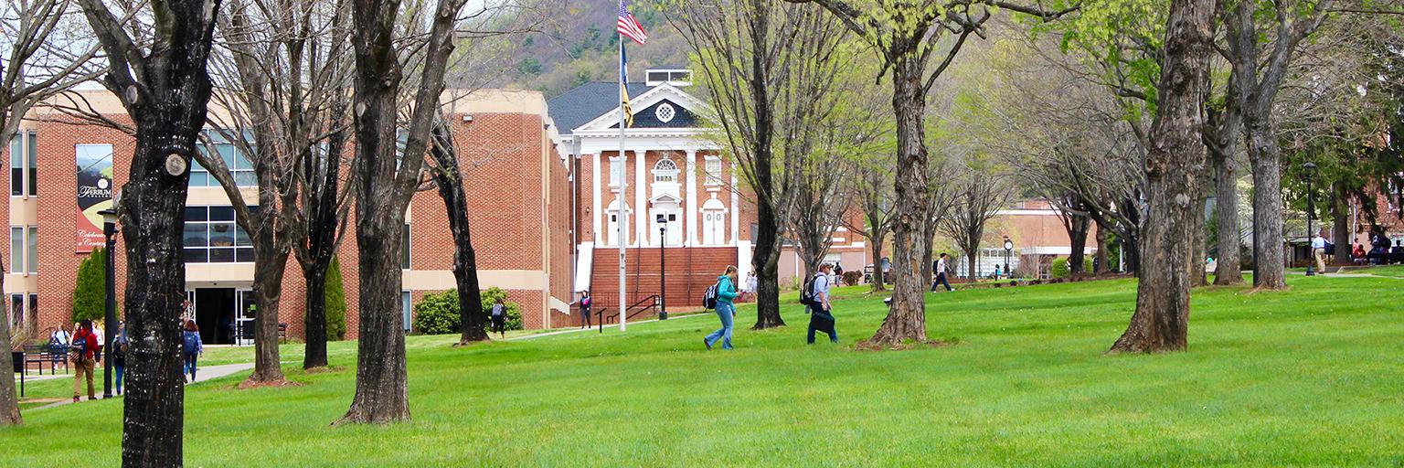 Ferrum College banner
