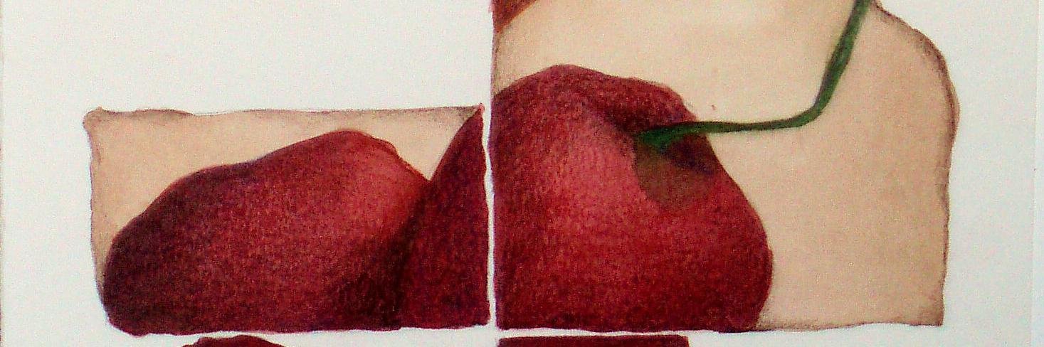 Anna Rodon banner