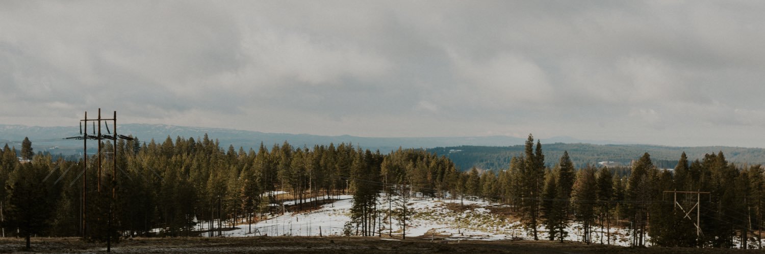 hosebo2's profile banner image