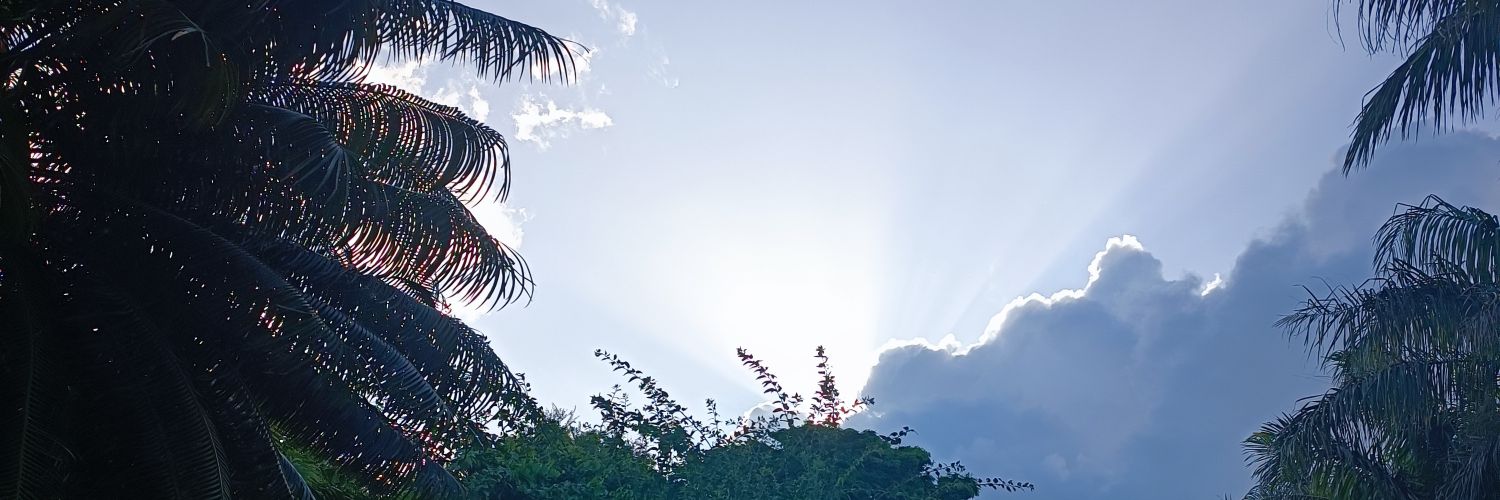 gpessoa's profile banner image