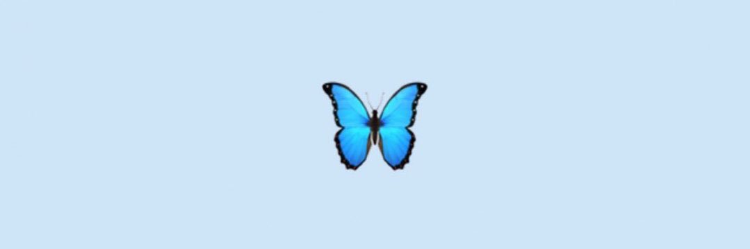 anna_morse11's profile banner image