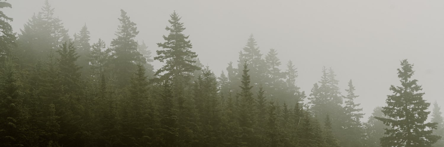 ☾𖤓 m@ryL ⋆✿𖤣𖥧𖡼𓋼𖤣𖥧𓋼𓍊❀⋆ banner