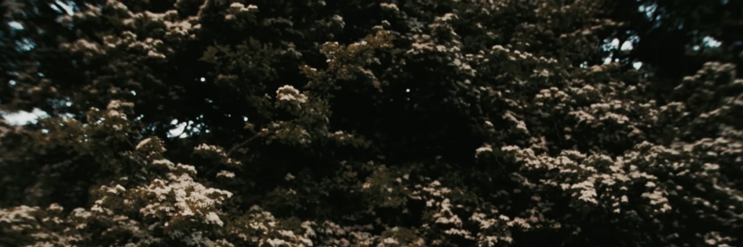 SLEUTHINGDREW's profile banner image
