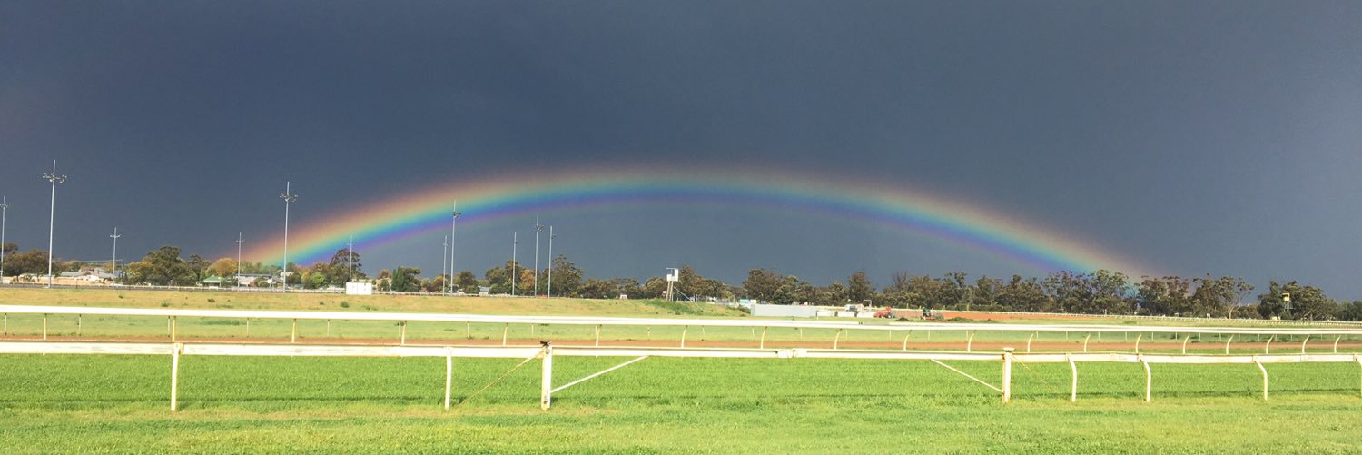 SwanHillTrottingClub banner