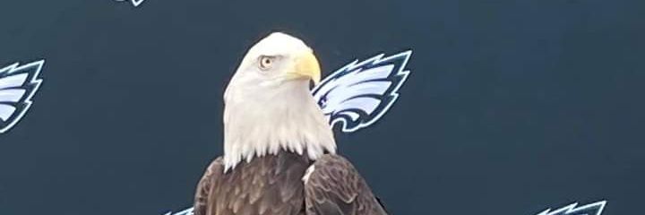 JOEO62's profile banner image