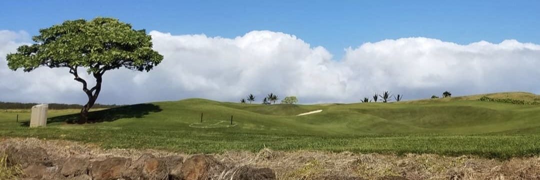 ⚖️MJS⚖️ banner