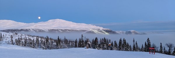timringrose Profile Banner