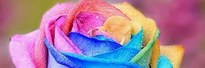 vmluv___'s profile banner image