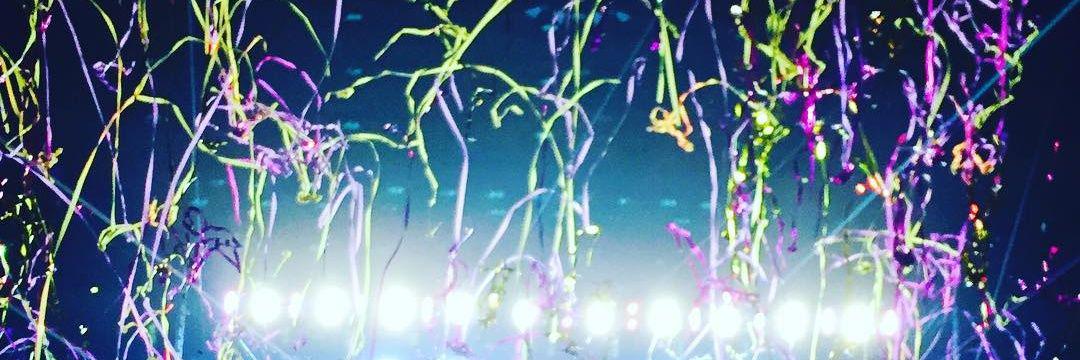 Grown1DFan's profile banner image