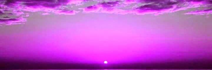 Ladyt806T's profile banner image