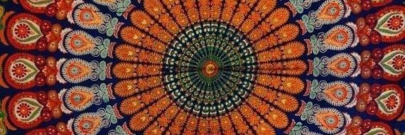 lauraviolandi's profile banner image