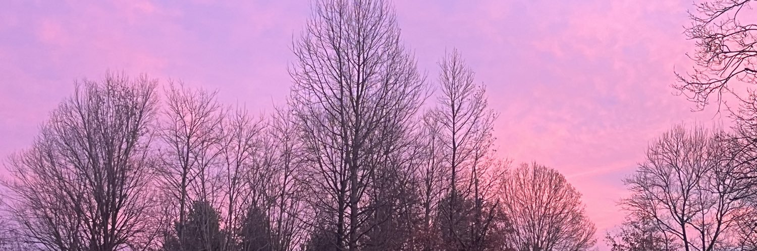 Pittsburgh needs an NBA team banner