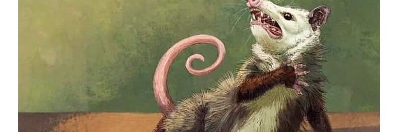 TheScarletteO's profile banner image
