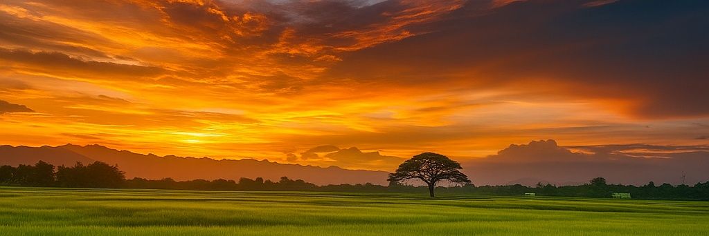 Tei7en's profile banner image