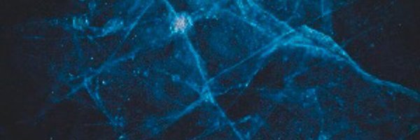 ColdWinterFilms Profile Banner