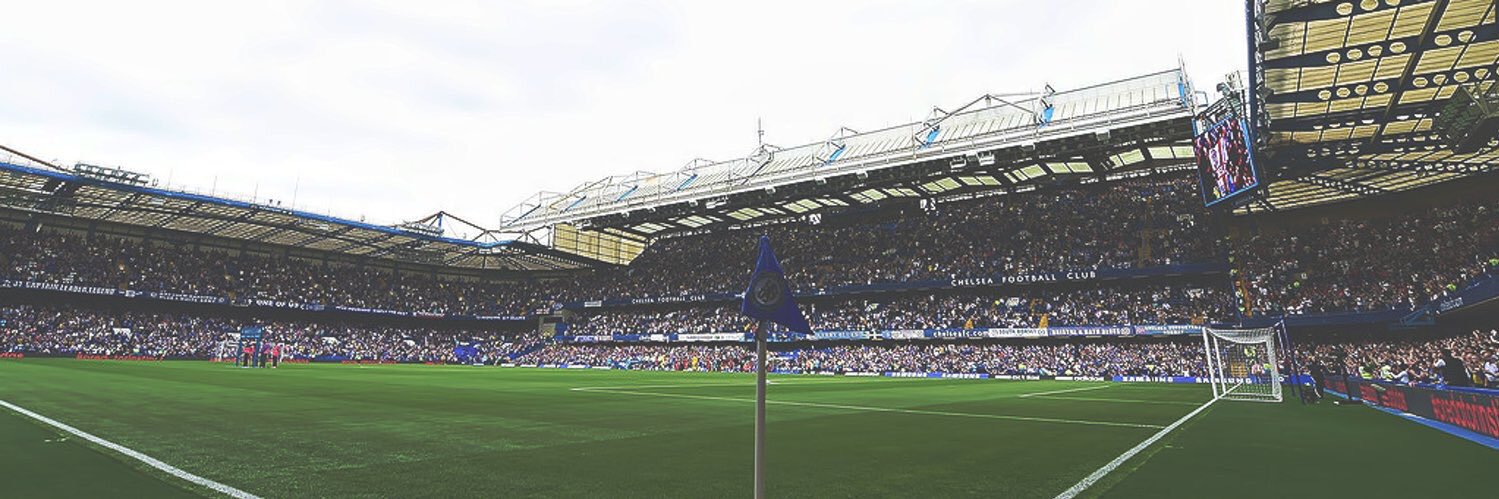 Matia 🦁 banner