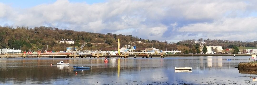 it's me Moz 🇵🇸 banner