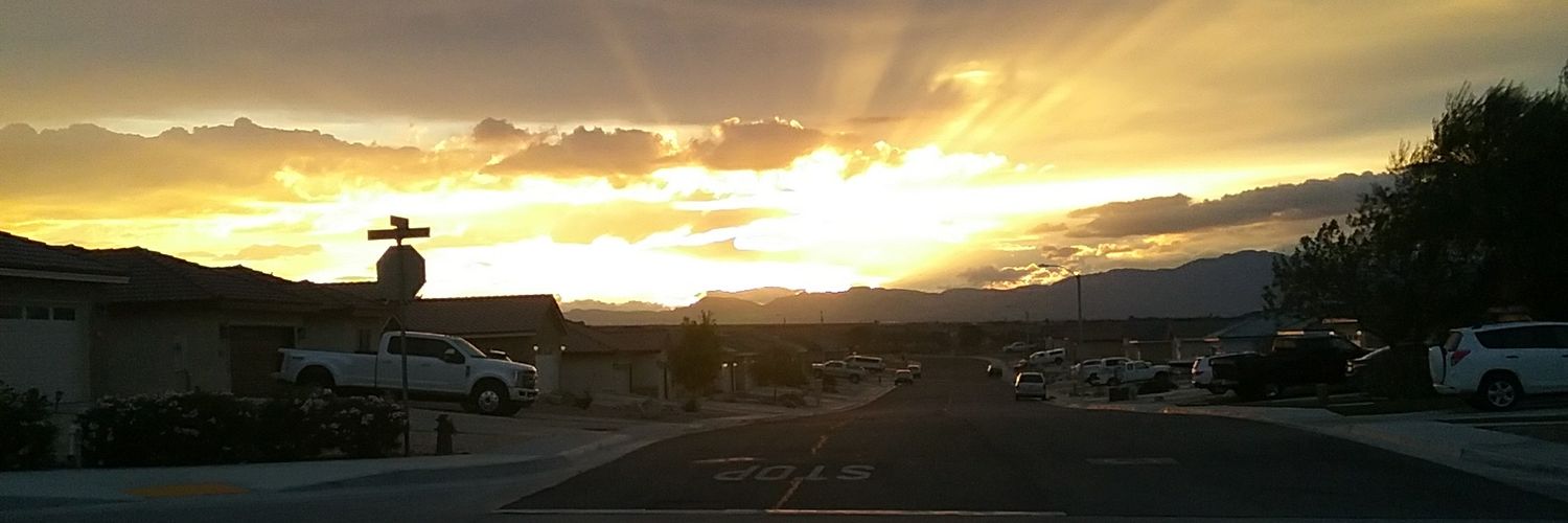 maddybug53's profile banner image