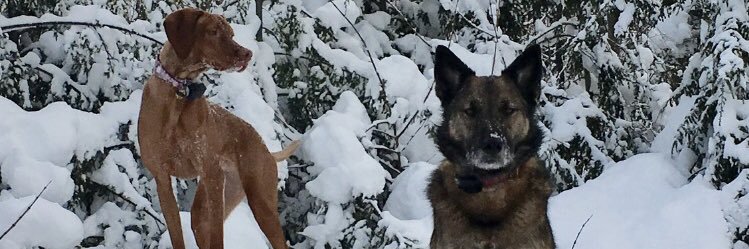keegs1301's profile banner image