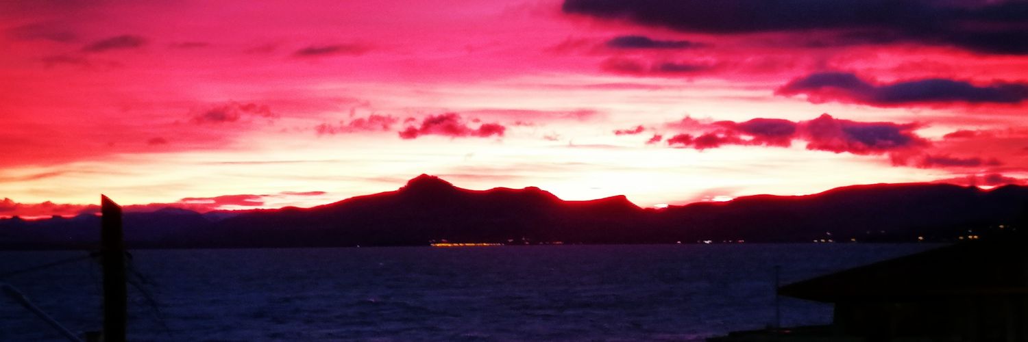 Martinchitochot's profile banner image