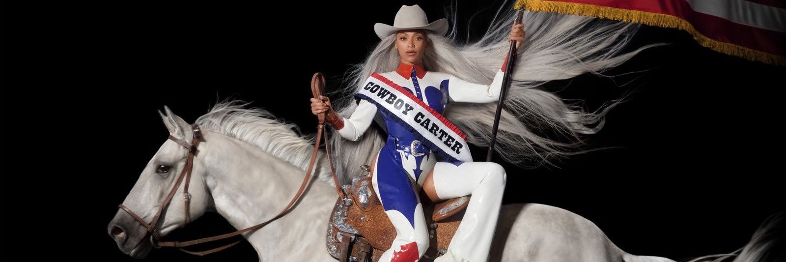 pqpknowles's profile banner image