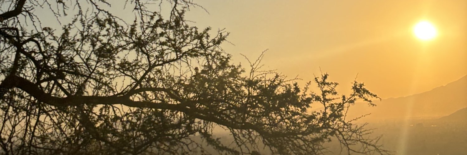SabrinaRivas0's profile banner image