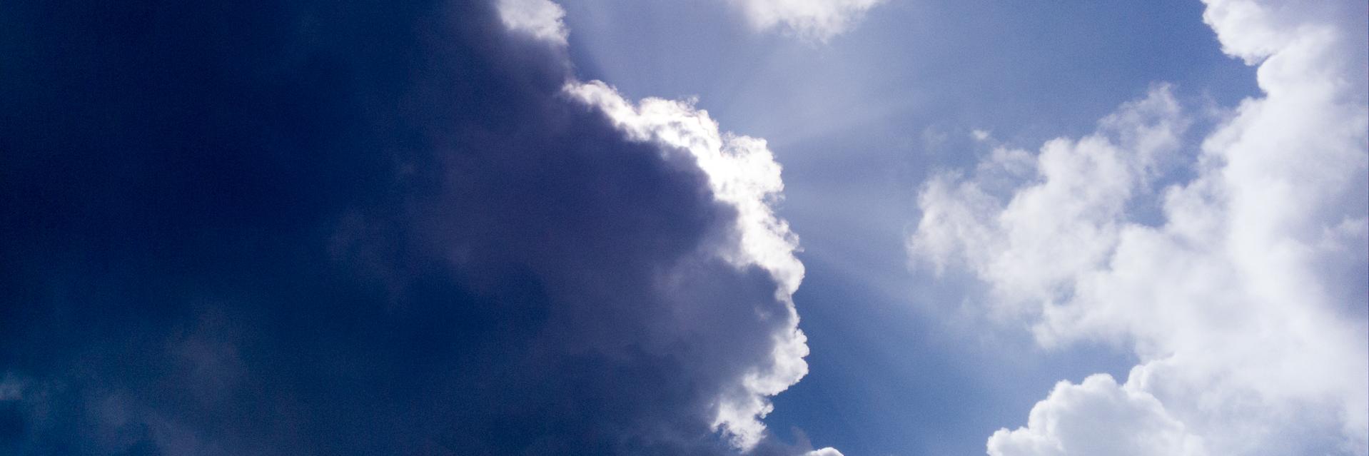 Philippe Meyralbe banner