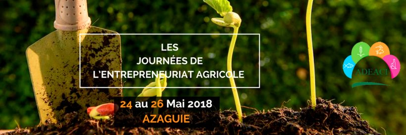 Ahoune's profile banner image
