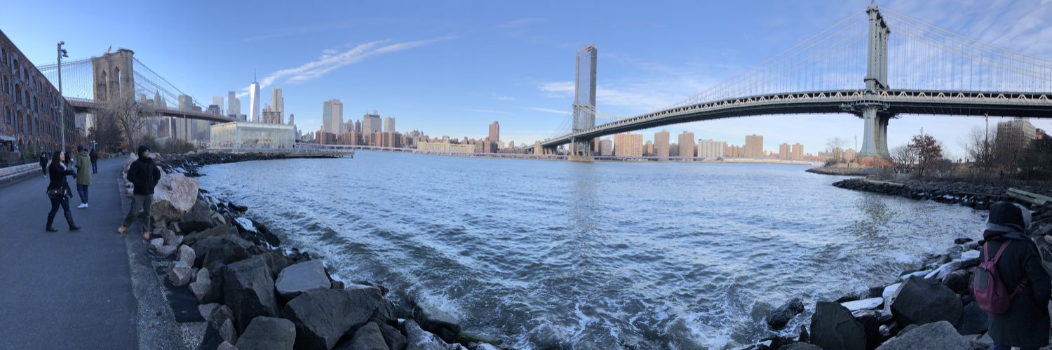 Elizabeth Zelidon banner