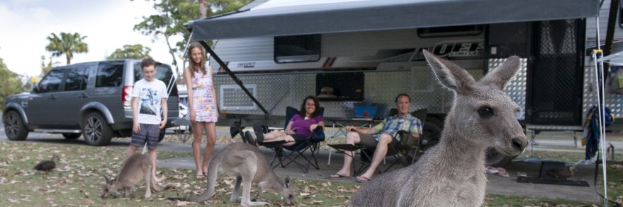 LetsGoCaravan's profile banner image