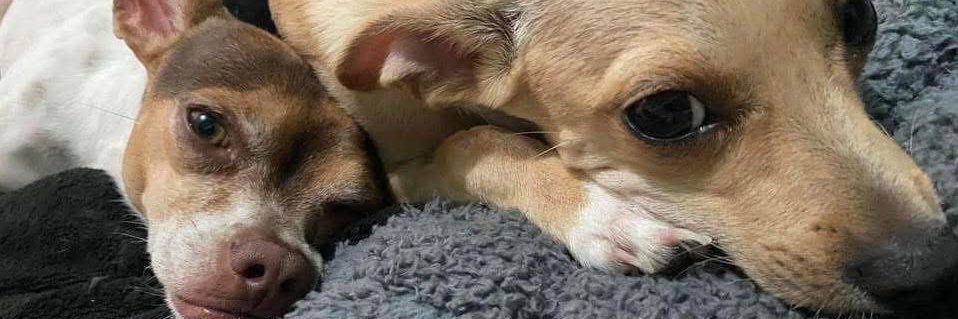 aesz31's profile banner image