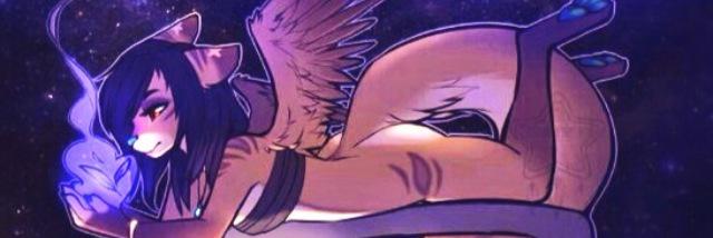 CuteKittyxxkat's profile banner image