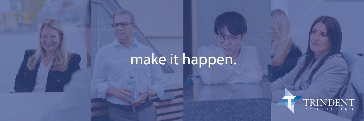 Trindent Consulting banner