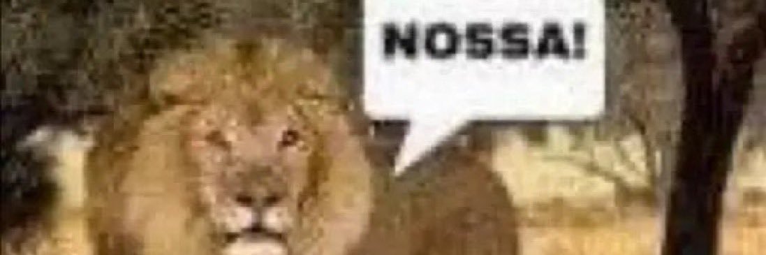 nadynepaes's profile banner image
