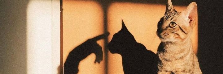 sewal5297's profile banner image