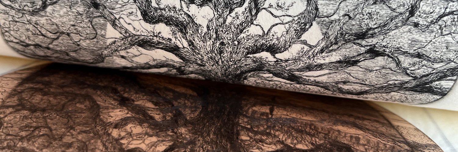 Luke Adam Hawker banner