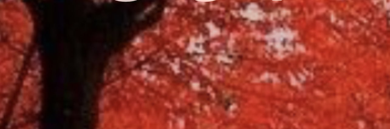 Shawn McDonald banner